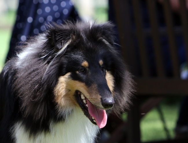 der wunderschöne Iain