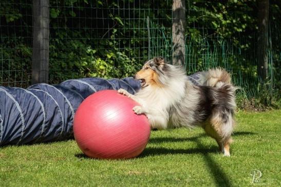 Buster und seine Nichte Irinchen treiben den Ball voran