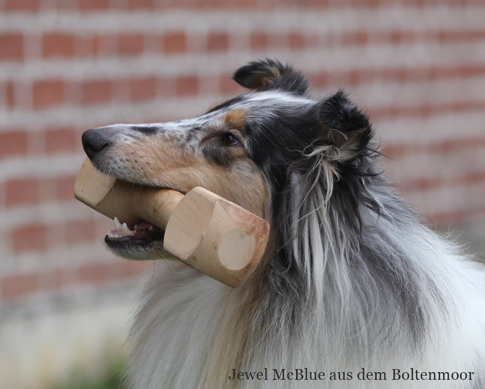 Jewel McBlue aus dem Boltenmoor - Spielgefährtin