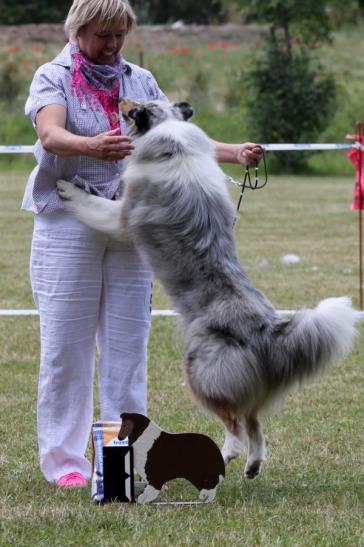 Baylee McBlue aus dem Boltenmoor - Ausstellung