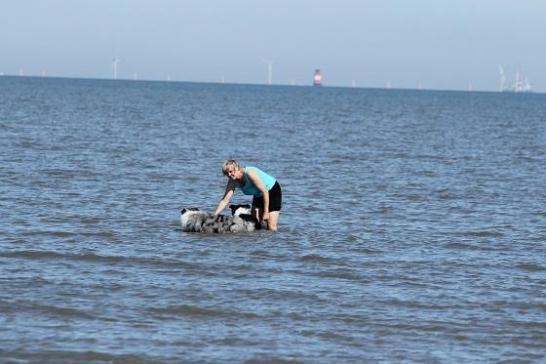 August 2016 an der Nordsee