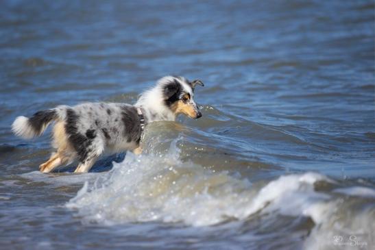 2020 - Nordsee - gleich rein in die Fluten