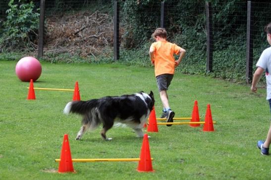 der sportliche Teil - der Parcour