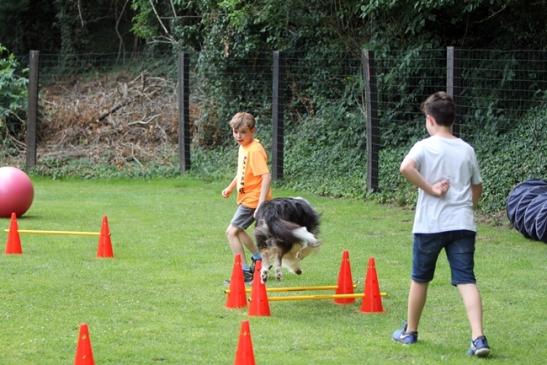 der sportliche Teil - der Parcour