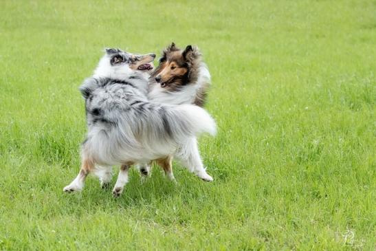 Freddy und Gwynn