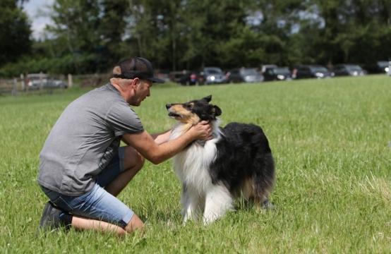 Der Collie Dompteur mit Cathy