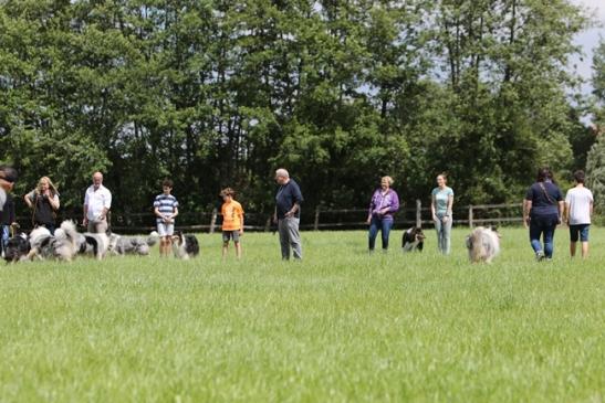 Klönschnack, Kennenlernen und Austausch